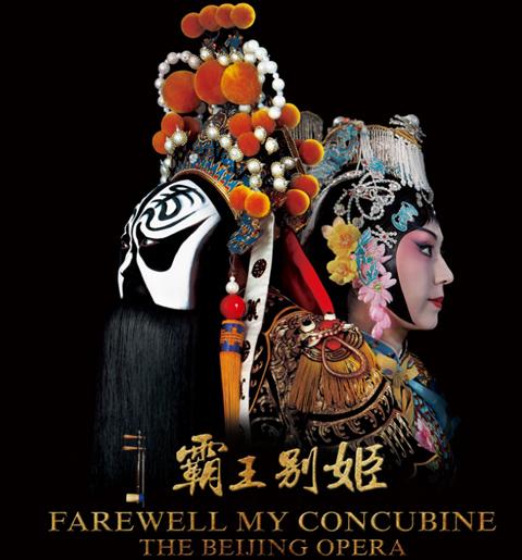 圣母院书院 Sociological degree